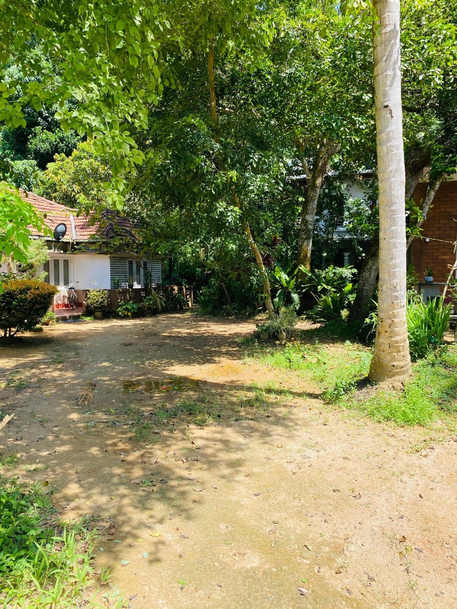 Little Mount Guest House Mirissa Exterior photo